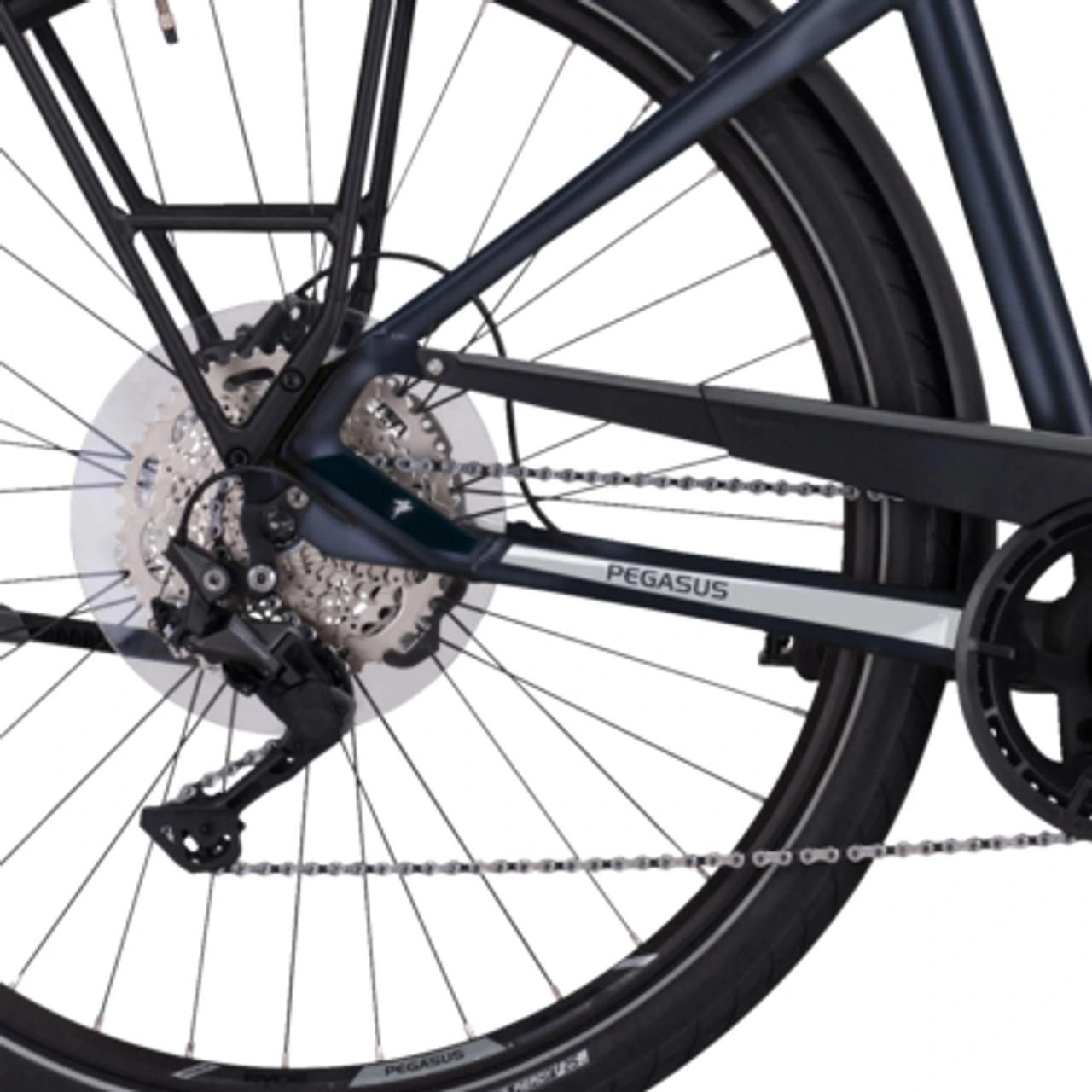 Pegasus Premio Evo 10 Lite 2022