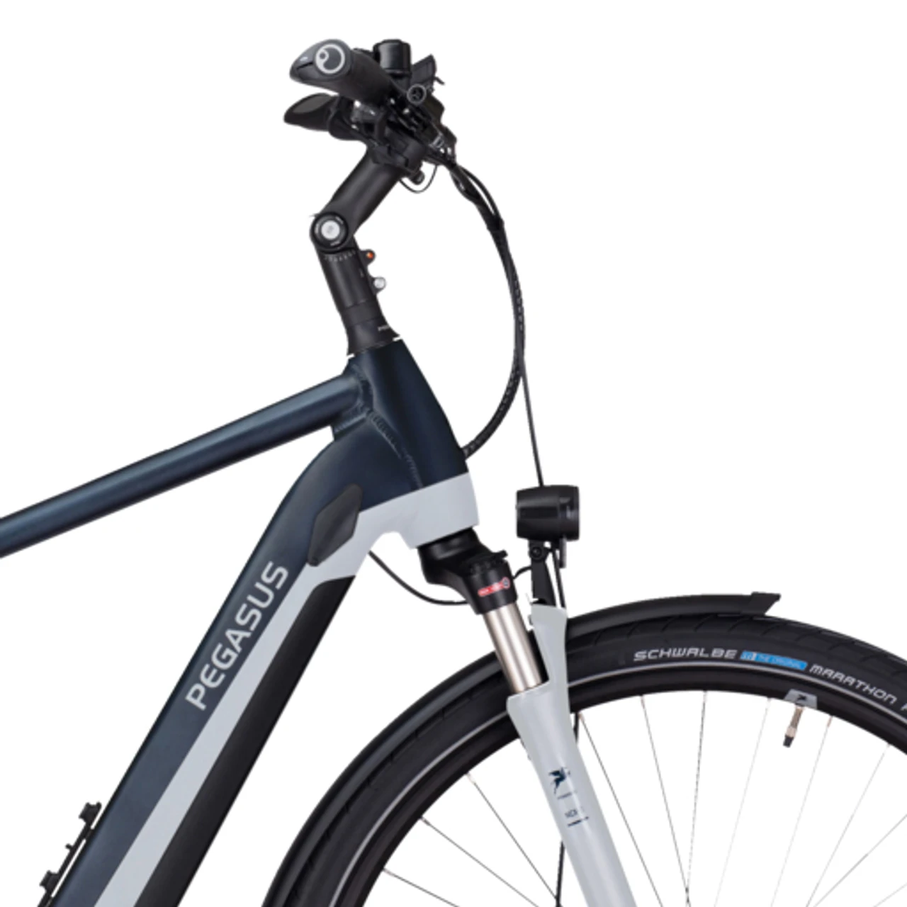Pegasus Premio Evo 10 Lite 2022