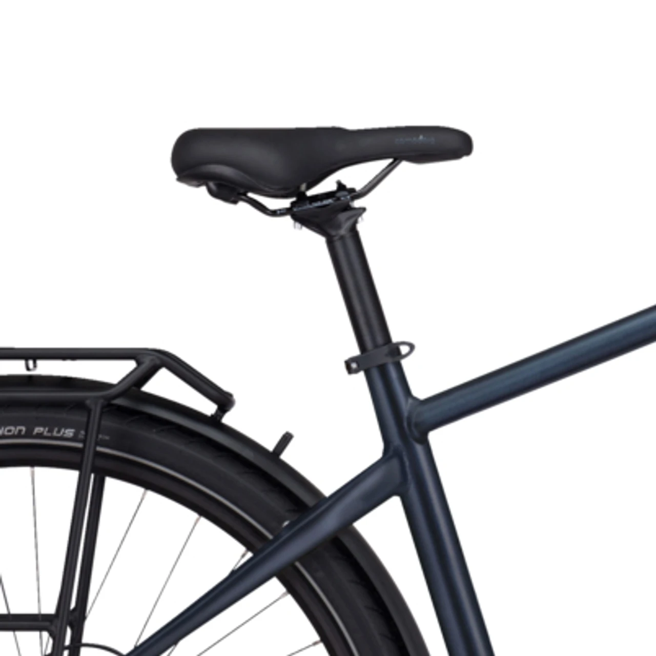 Pegasus Premio Evo 10 Lite 2022