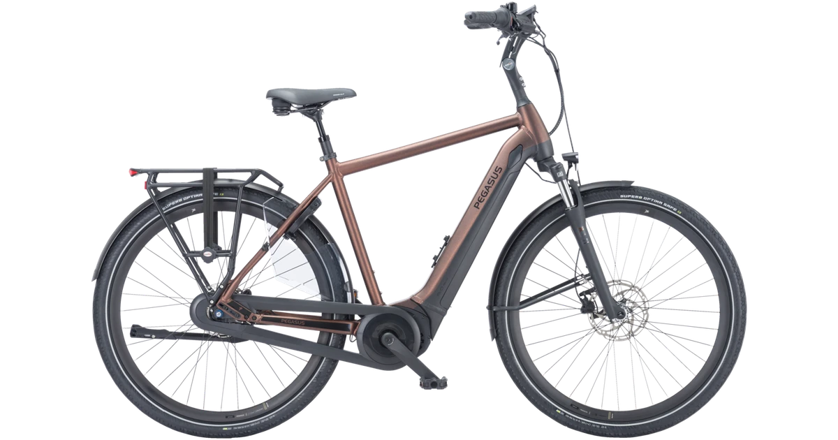 Pegasus ravenna evo 7f disc 2023 bruin mat heren