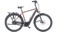 Ravenna Evo 7F Disc 2024