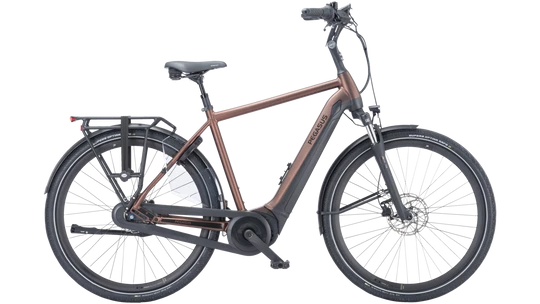 Ravenna Evo 7F Disc 2024