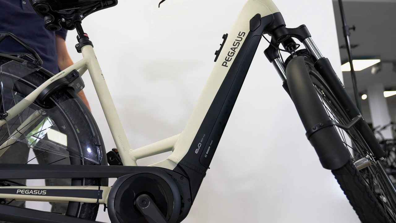 Pegasus Ravenna Evo 7F Disc 2024