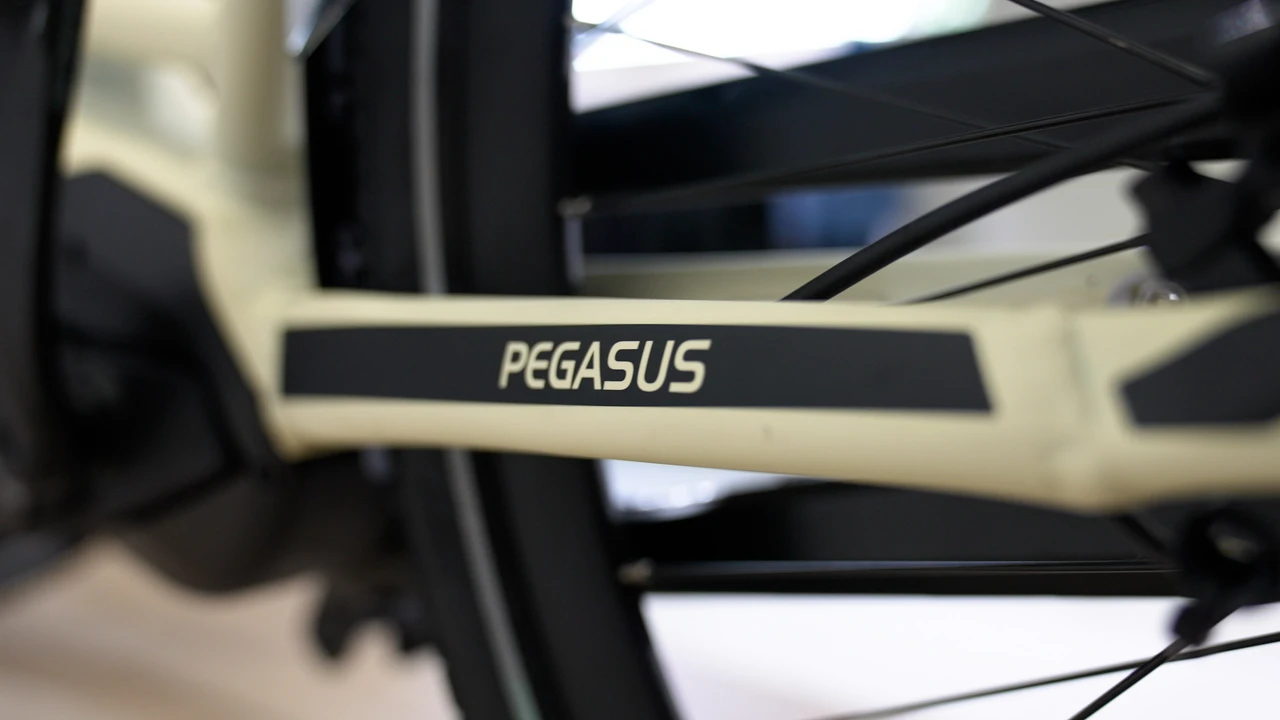 Pegasus Ravenna Evo 7F Disc 2024