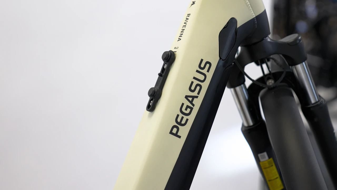 Pegasus Ravenna Evo 7F Disc 2024