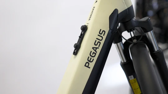 Ravenna Evo 7F Disc 2024