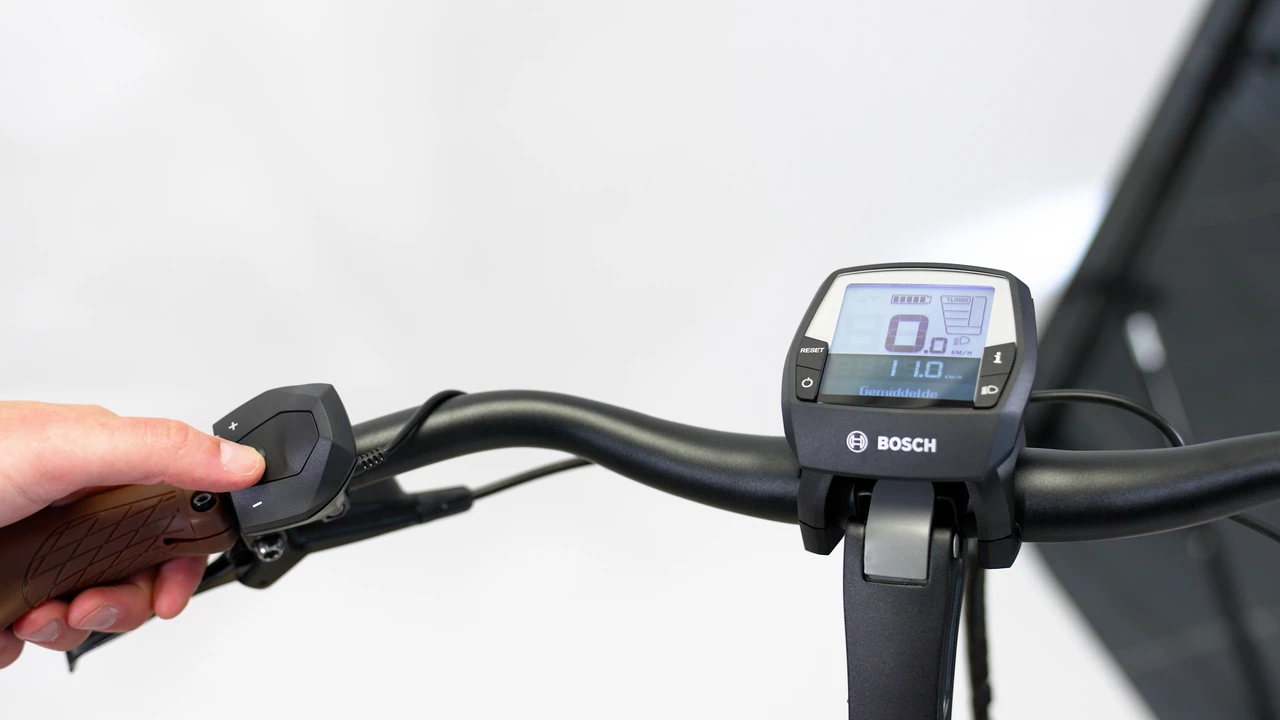Pegasus Ravenna Evo 7F Disc 2024