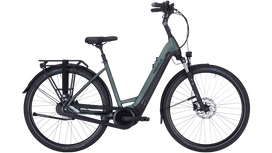 Pegasus Ravenna EVO 8F 2022