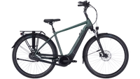 Pegasus Ravenna EVO 8F 2022