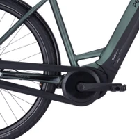 Pegasus Ravenna EVO 8F 2022