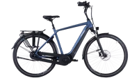 Pegasus Ravenna EVO 5 2022