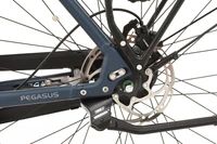 Pegasus Ravenna E8F NL 2024