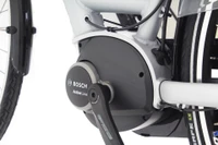 Pegasus Piazza 7F 2021