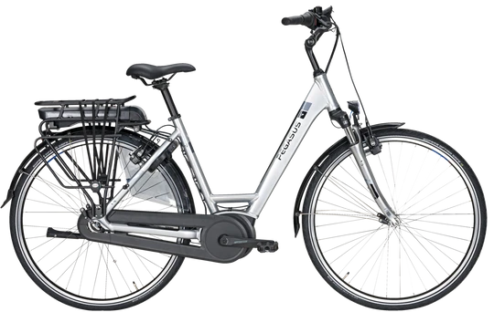 Pegasus Piazza 7F 2021