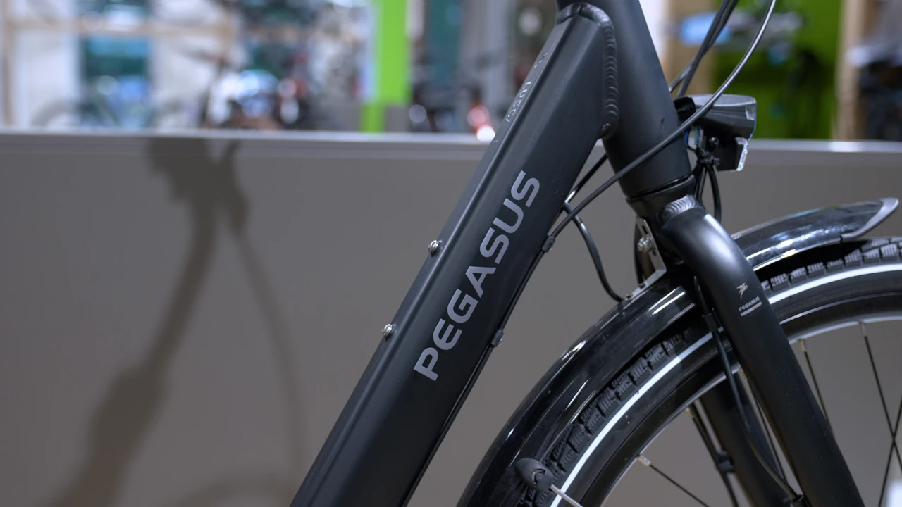 Pegasus Lucca 3 NL 2023