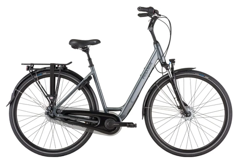 Pegasus Salerno 7 NL 2022