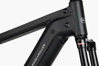 Riese & Müller Charger4 GT Vario - Kiox 300 - 750 Wh