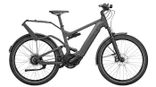 Riese & Müller Delite GT vario - Grijs