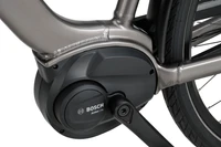 Sparta a-Lane Fit 2025