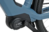 Sparta a-Shine Fit 2025
