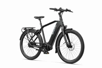 Sparta d-Burst Energy METb 2023