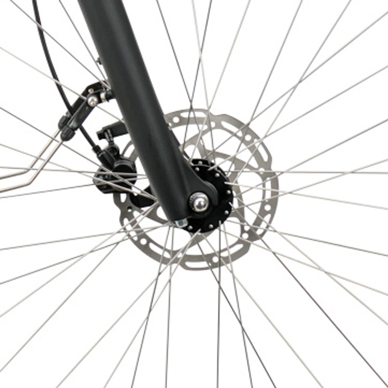 Sparta d-Rule M5Tb 2023