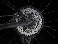 Procaliber 9.8 2023