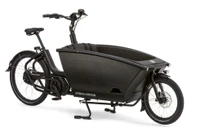 Urban Arrow Family Performance Essential Connected 2025