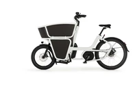 Urban Arrow Shorty Cargo 2025