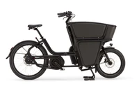 Urban Arrow Shorty Performance 2025